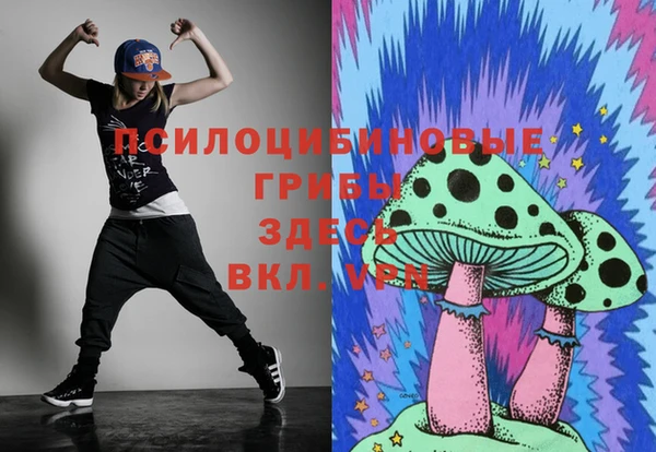 apvp Козловка