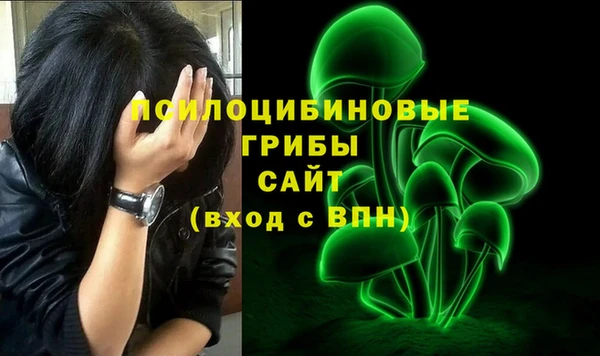 гашик Тында