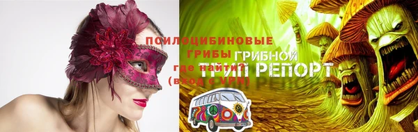 apvp Козловка