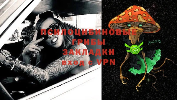apvp Козловка