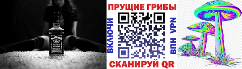 Псилоцибиновые грибы Psilocybe  хочу наркоту  Красногорск 